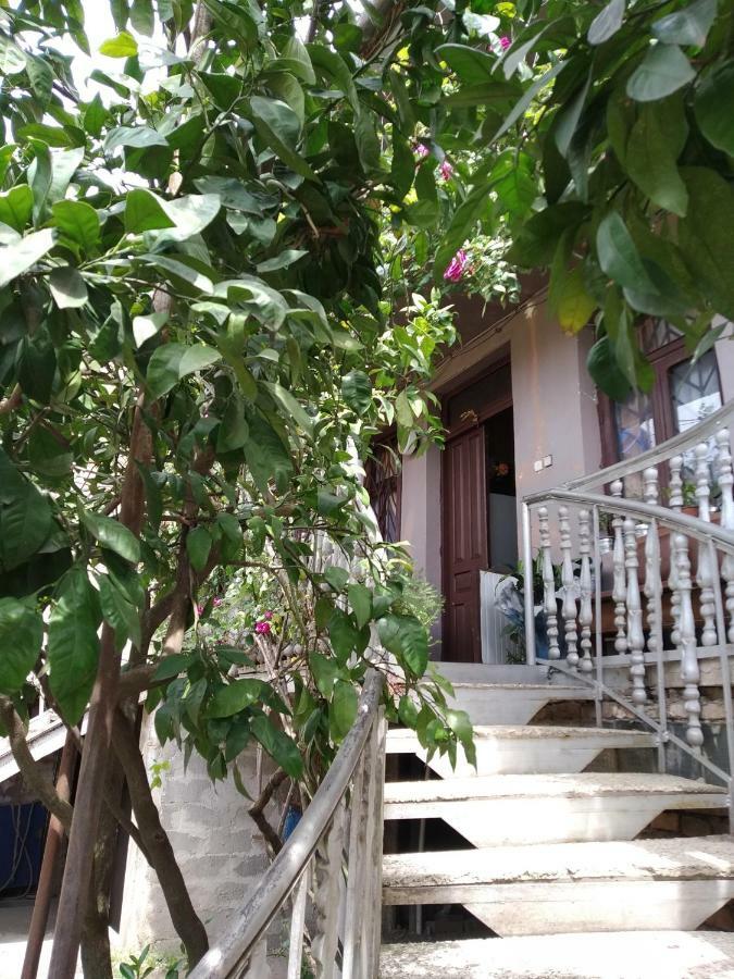 Downtown Guest House Kutaisi Esterno foto