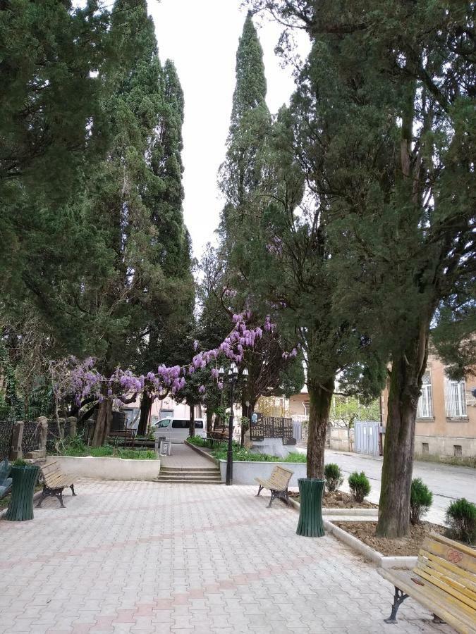 Downtown Guest House Kutaisi Esterno foto